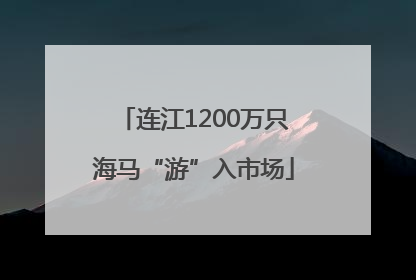 连江1200万只海马“游”入市场