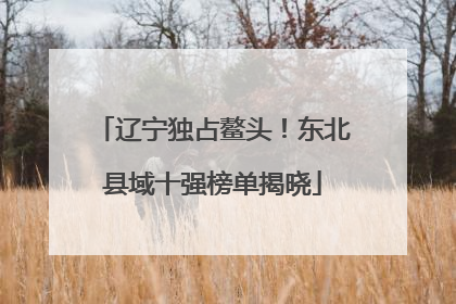 辽宁独占鳌头！东北县域十强榜单揭晓