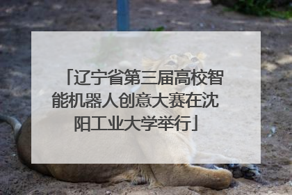 辽宁省第三届高校智能机器人创意大赛在沈阳工业大学举行