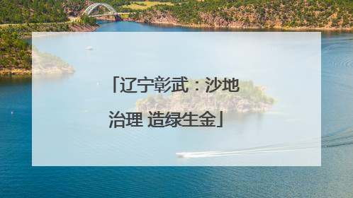 辽宁彰武：沙地治理 造绿生金