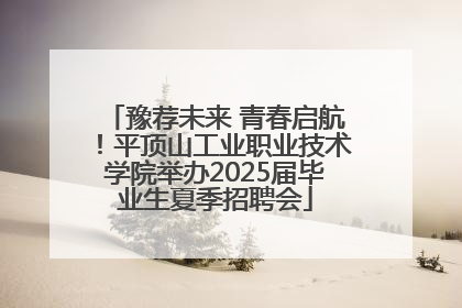 豫荐未来 青春启航！平顶山工业职业技术学院举办2025届毕业生夏季招聘会
