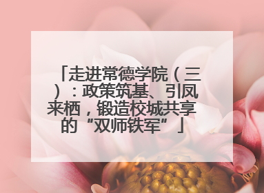 走进常德学院（三）：政策筑基、引凤来栖，锻造校城共享的“双师铁军”