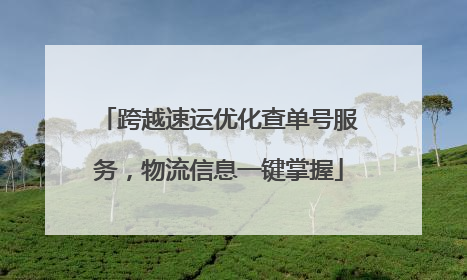 跨越速运优化查单号服务，物流信息一键掌握