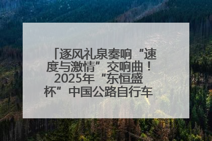 逐风礼泉奏响“速度与激情”交响曲！2025年“东恒盛杯”中国公路自行车联赛第五站（陕西·礼泉站）正式开赛