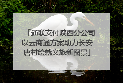 通联支付陕西分公司以云商通方案助力长安唐村绘就文旅新图景