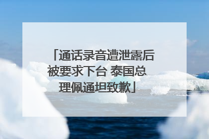 通话录音遭泄露后被要求下台 泰国总理佩通坦致歉