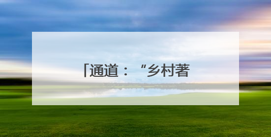 通道：“乡村著名行动”绘就美丽侗乡新图景