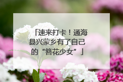 速来打卡！通海县兴蒙乡有了自己的“簪花少女”