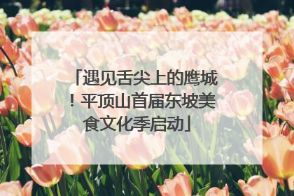 遇见舌尖上的鹰城！平顶山首届东坡美食文化季启动