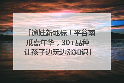 遛娃新地标！平谷南瓜嘉年华，30+品种让孩子边玩边涨知识