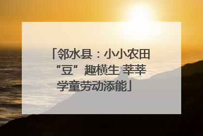 邻水县：小小农田“豆”趣横生 莘莘学童劳动添能