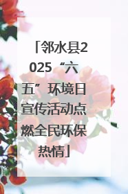 邻水县2025“六五”环境日宣传活动点燃全民环保热情