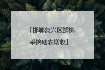 邯郸复兴区鲜桃采摘助农增收