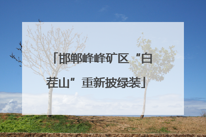 邯郸峰峰矿区“白茬山”重新披绿装