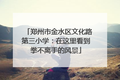 郑州市金水区文化路第三小学：在这里看到拳不离手的风景