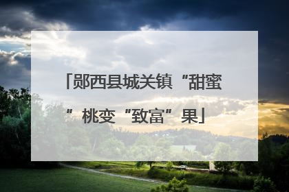 郧西县城关镇“甜蜜”桃变“致富”果