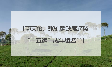 郭艾伦、张镇麟缺席辽篮“十五运”成年组名单