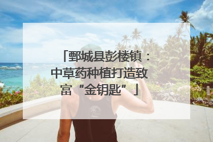 鄄城县彭楼镇：中草药种植打造致富“金钥匙”