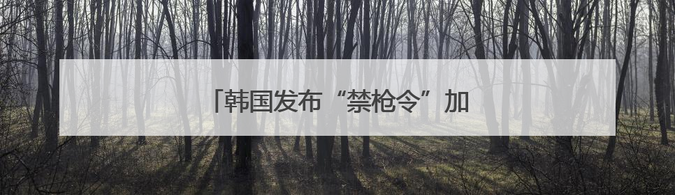 韩国发布“禁枪令”加强总统选举期间安保
