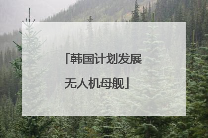 韩国计划发展无人机母舰