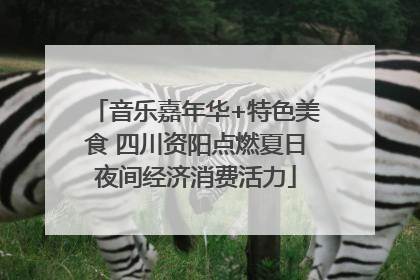 音乐嘉年华+特色美食 四川资阳点燃夏日夜间经济消费活力