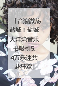 音浪激荡盐城！盐城大洋湾音乐节吸引5.4万乐迷共赴狂欢