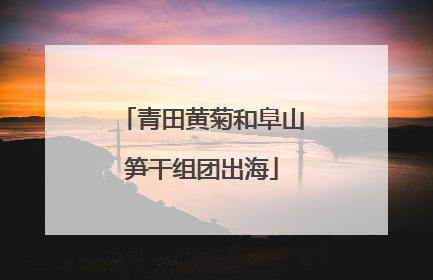 青田黄菊和阜山笋干组团出海