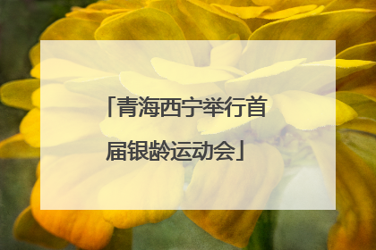 青海西宁举行首届银龄运动会