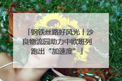 钢铁丝路好风光丨沙良物流园助力中欧班列跑出“加速度”