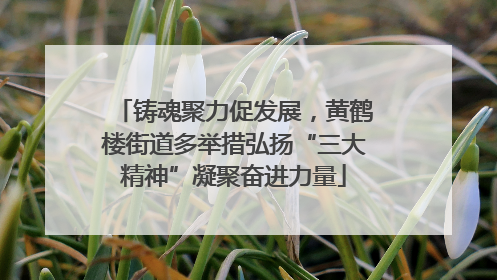 铸魂聚力促发展，黄鹤楼街道多举措弘扬“三大精神”凝聚奋进力量