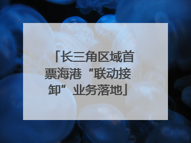 长三角区域首票海港“联动接卸”业务落地