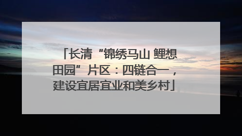 长清“锦绣马山 鲤想田园”片区：四链合一，建设宜居宜业和美乡村