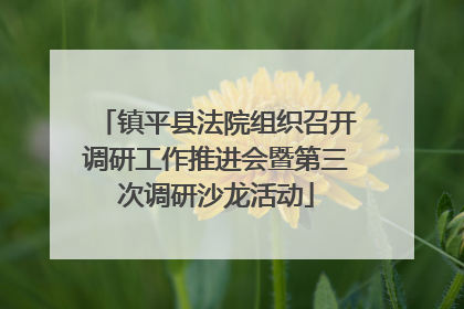 镇平县法院组织召开调研工作推进会暨第三次调研沙龙活动