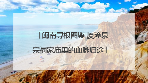 闽南寻根图鉴 厦漳泉宗祠家庙里的血脉归途
