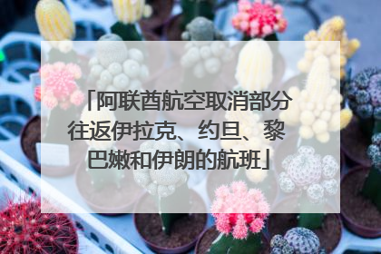 阿联酋航空取消部分往返伊拉克、约旦、黎巴嫩和伊朗的航班