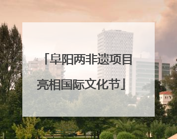 阜阳两非遗项目亮相国际文化节
