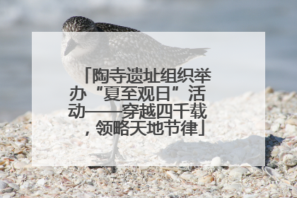陶寺遗址组织举办“夏至观日”活动——穿越四千载，领略天地节律