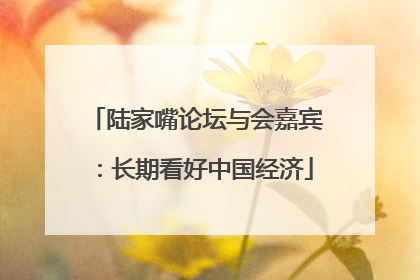 陆家嘴论坛与会嘉宾：长期看好中国经济