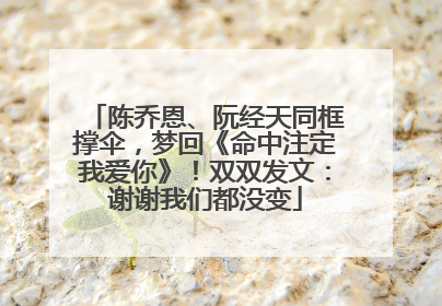 陈乔恩、阮经天同框撑伞，梦回《命中注定我爱你》！双双发文：谢谢我们都没变