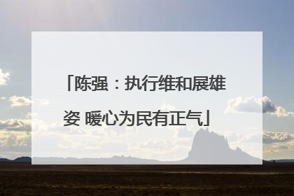 陈强：执行维和展雄姿 暖心为民有正气