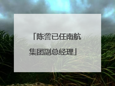 陈詟已任南航集团副总经理