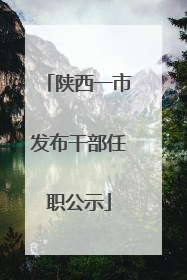 陕西一市发布干部任职公示