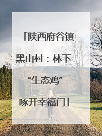 陕西府谷镇黑山村：林下“生态鸡” 啄开幸福门