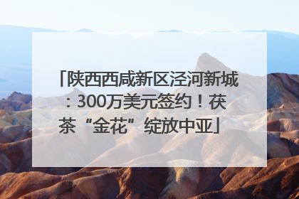 陕西西咸新区泾河新城：300万美元签约！茯茶“金花”绽放中亚