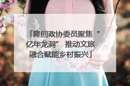 隆回政协委员聚焦“亿年龙洞” 推动文旅融合赋能乡村振兴