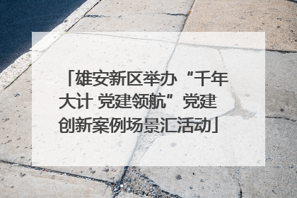 雄安新区举办“千年大计 党建领航”党建创新案例场景汇活动