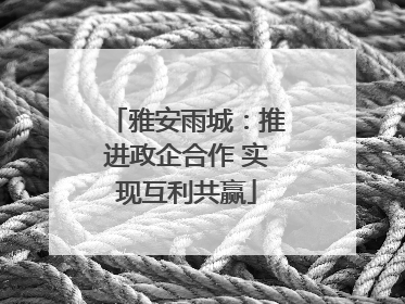 雅安雨城：推进政企合作 实现互利共赢