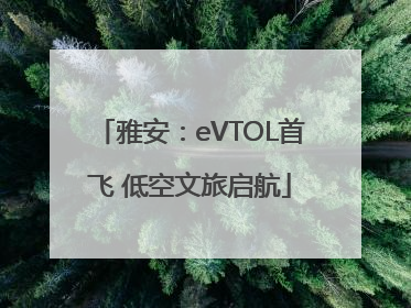 雅安：eVTOL首飞 低空文旅启航