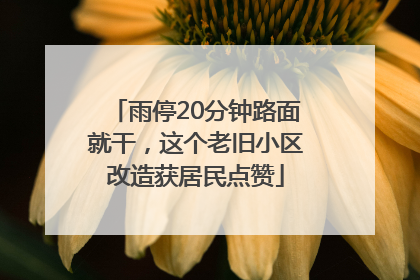雨停20分钟路面就干，这个老旧小区改造获居民点赞