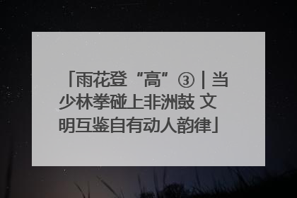 雨花登“高”③｜当少林拳碰上非洲鼓 文明互鉴自有动人韵律